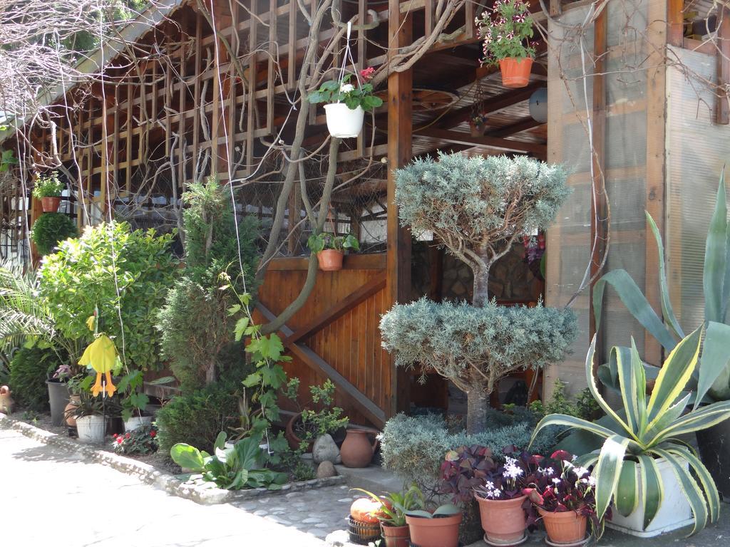 Guest House Rusalka Byala  Exterior foto